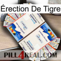 Érection De Tigre kamagra1
